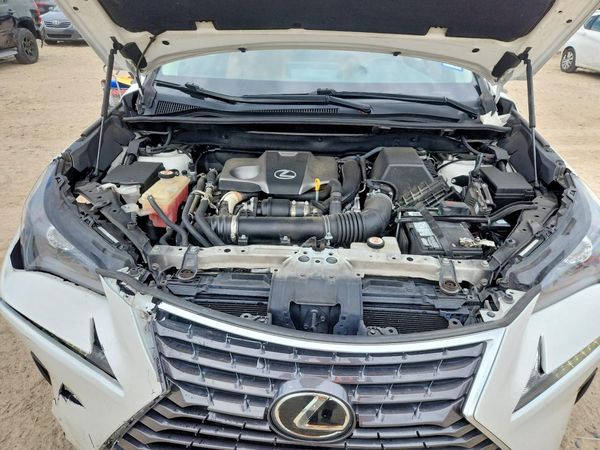 2021 LEXUS NX 300 300 Comfort