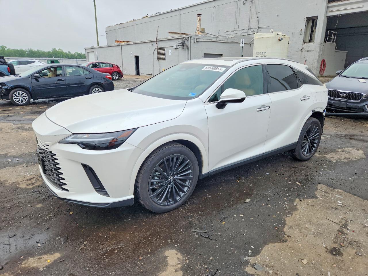 2025 LEXUS RX 350