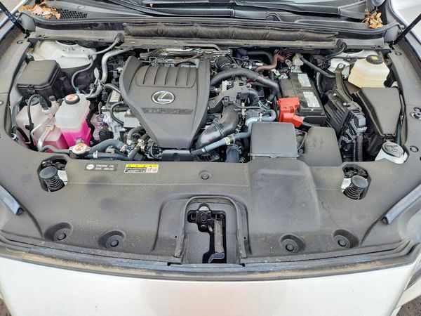 2025 LEXUS RX 350