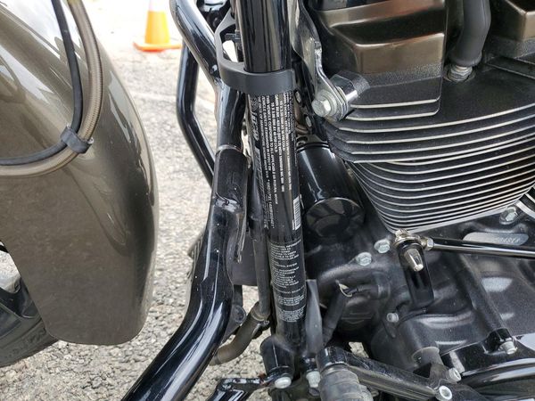 2021 HARLEY-DAVIDSON FLSE