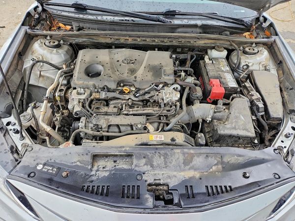 2023 TOYOTA CAMRY LE