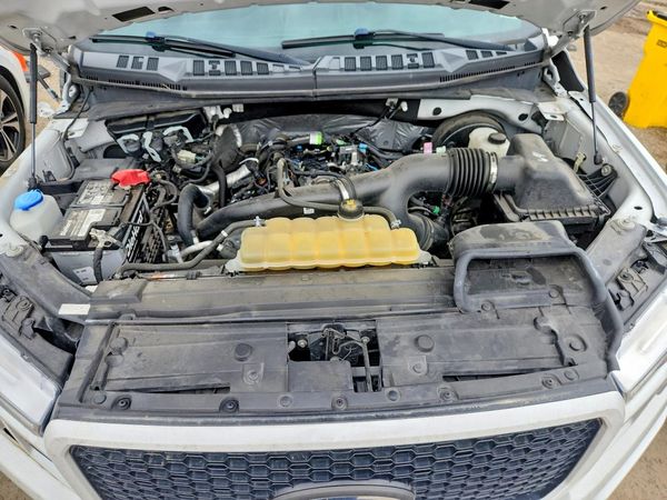 2019 FORD F150