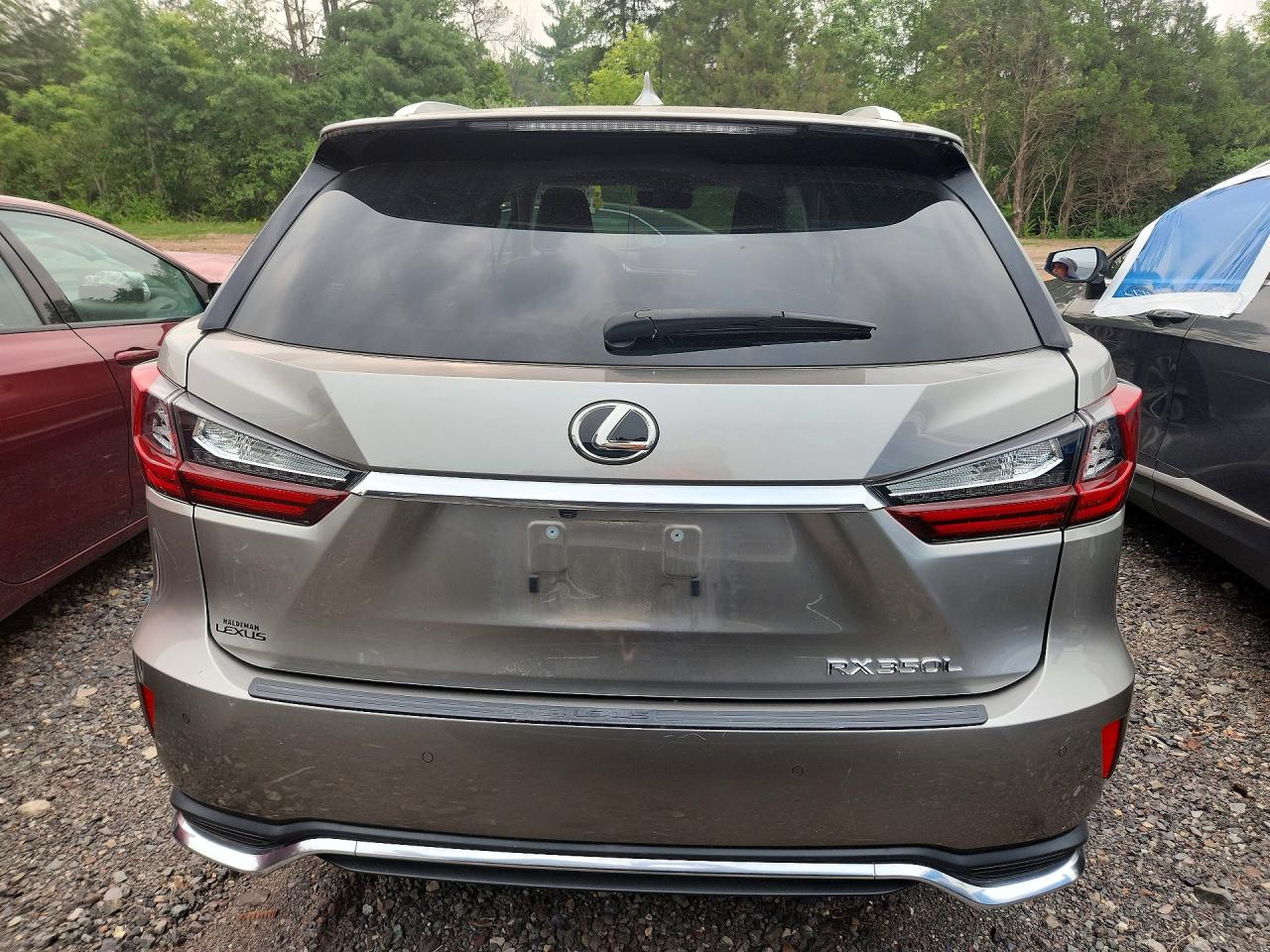2019 LEXUS RX 350 Standard