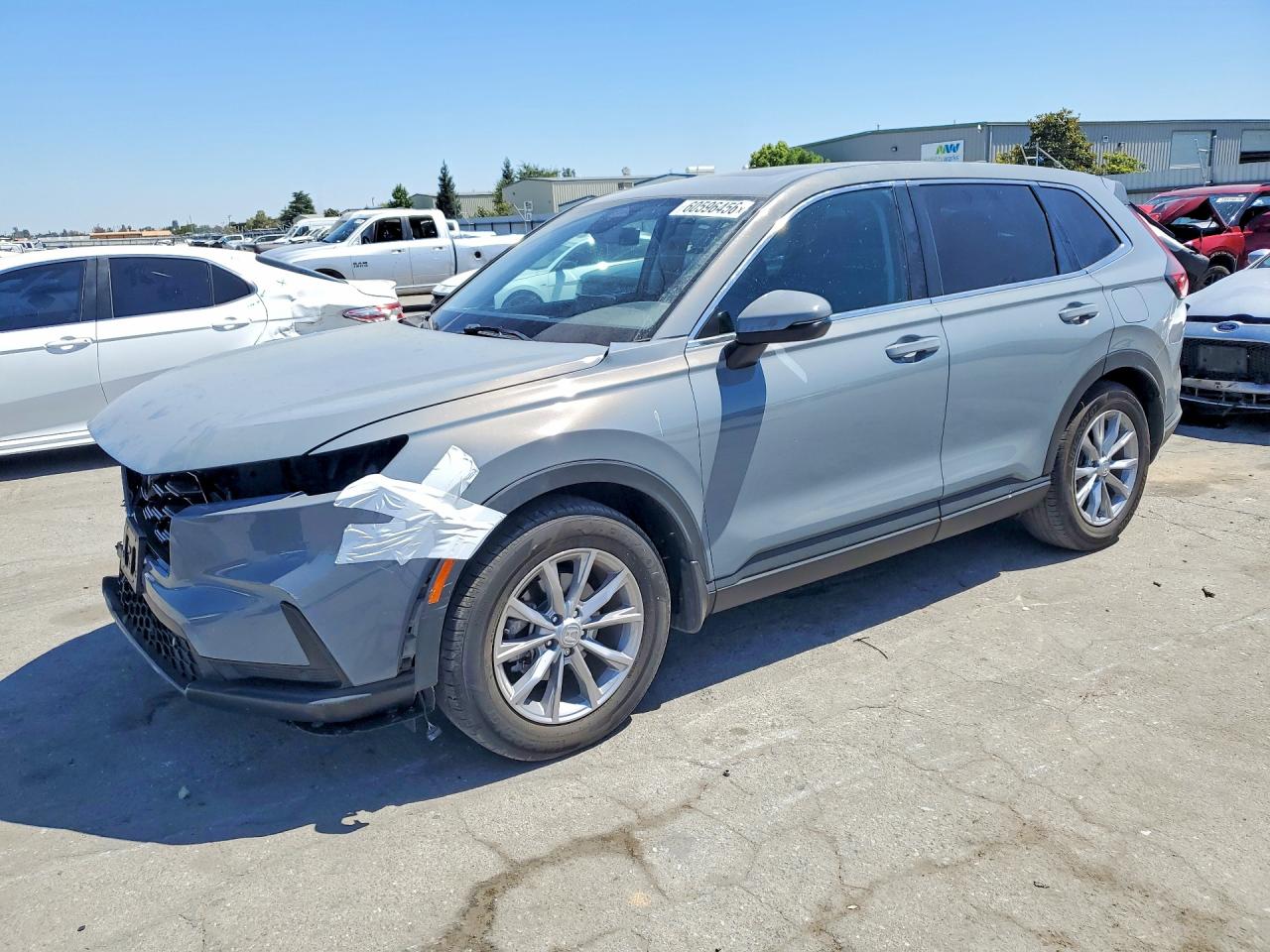 2025 HONDA CR-V EX-L