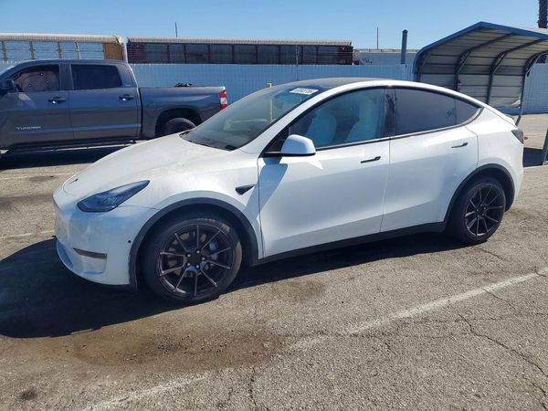 2020 TESLA MODEL Y