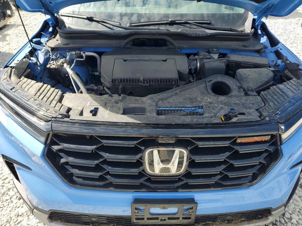2024 HONDA PILOT TRAILSPORT