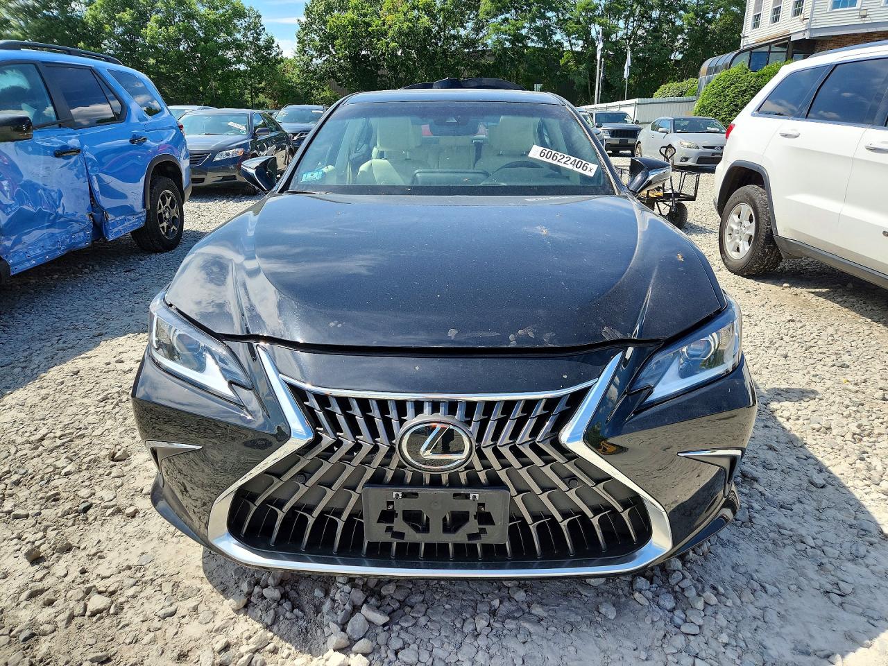 2022 LEXUS ES 250 250 Premium
