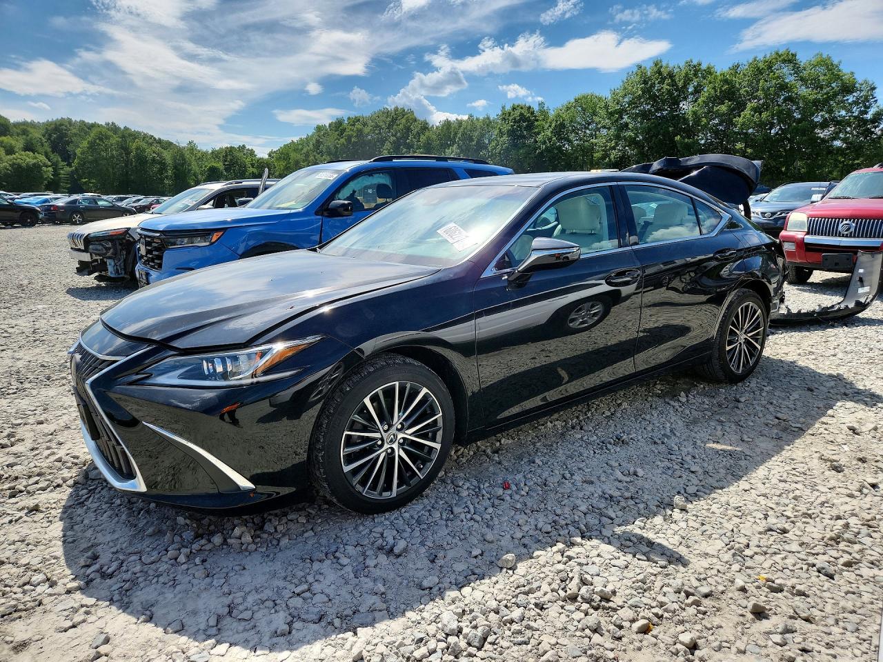 2022 LEXUS ES 250 250 Premium