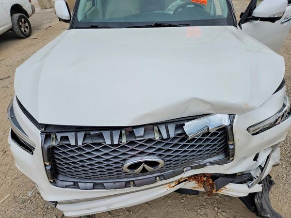 2019 INFINITI QX80
