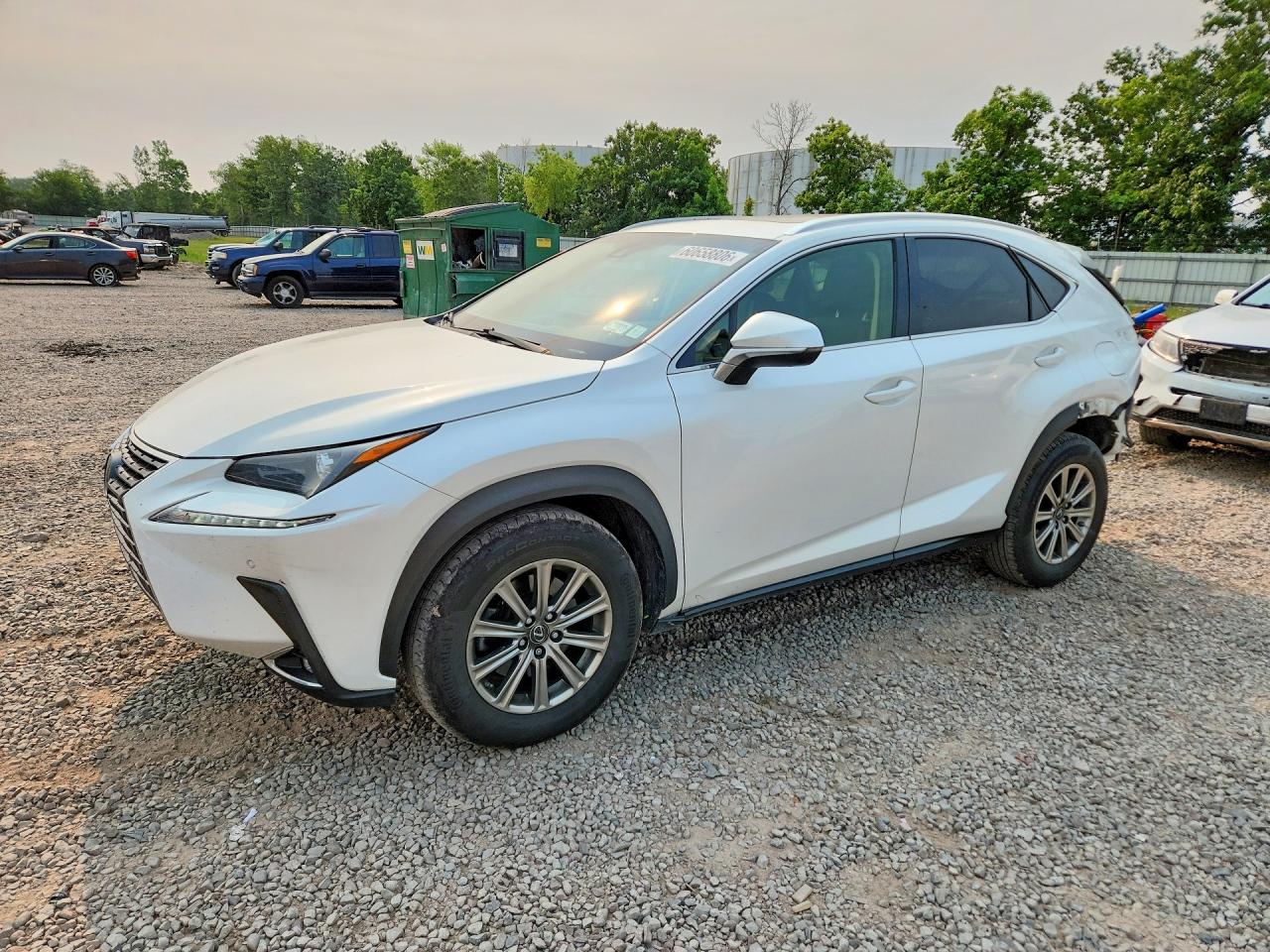 2019 LEXUS NX 300 300 Luxury