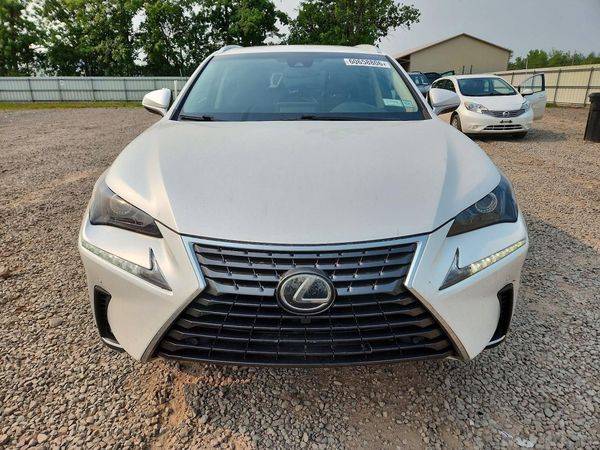 2019 LEXUS NX 300 300 Luxury