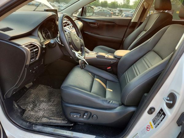 2019 LEXUS NX 300 300 Luxury