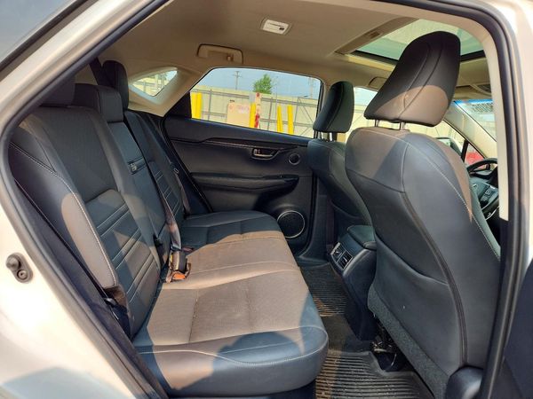 2019 LEXUS NX 300 300 Luxury