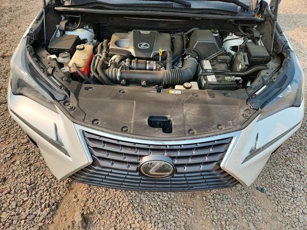 2019 LEXUS NX 300 300 Luxury