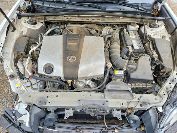 2019 LEXUS ES 350