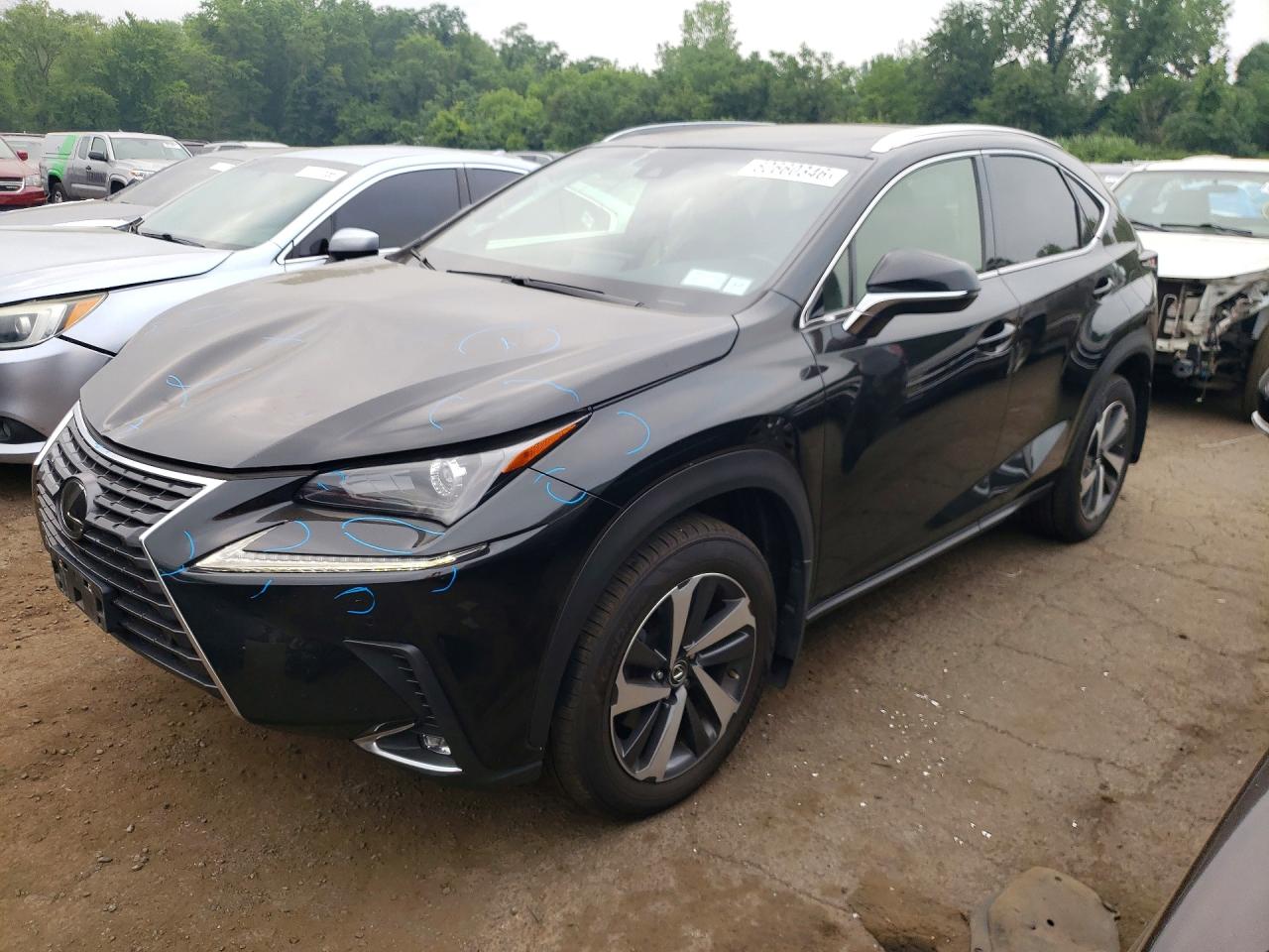 2019 LEXUS NX 300 300 Luxury