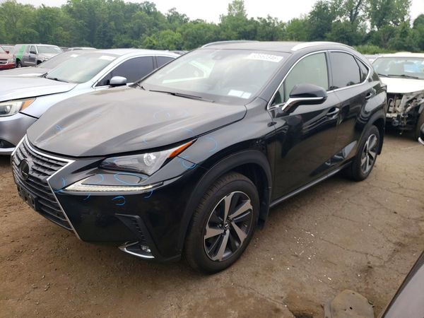 2019 LEXUS NX 300 300 Luxury