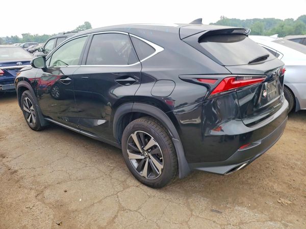 2019 LEXUS NX 300 300 Luxury