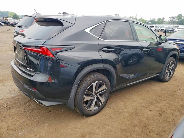 2019 LEXUS NX 300 300 Luxury