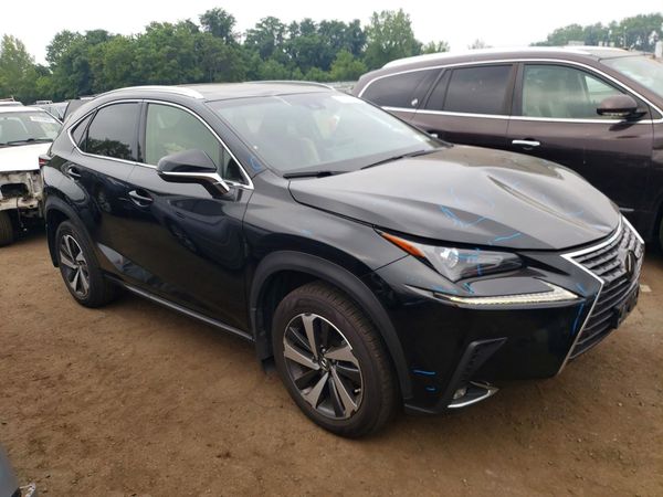 2019 LEXUS NX 300 300 Luxury