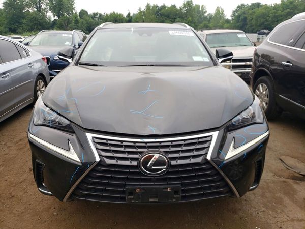 2019 LEXUS NX 300 300 Luxury