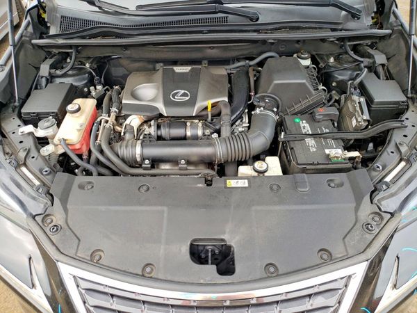 2019 LEXUS NX 300 300 Luxury