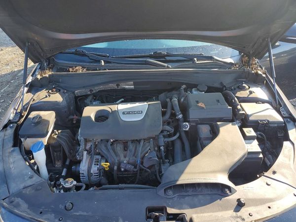 2019 KIA OPTIMA