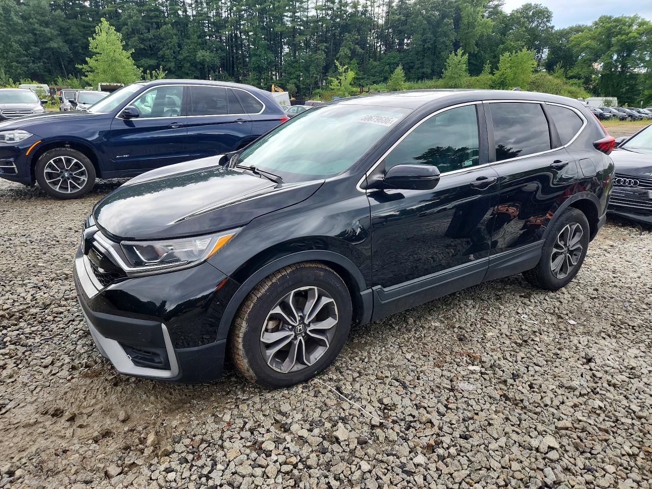 2022 HONDA CR-V EX