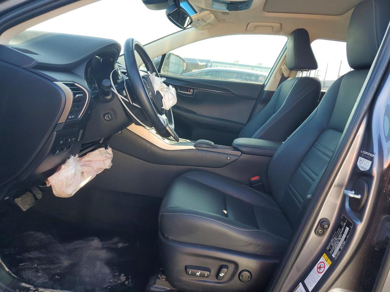 2019 LEXUS NX 300 300 Luxury
