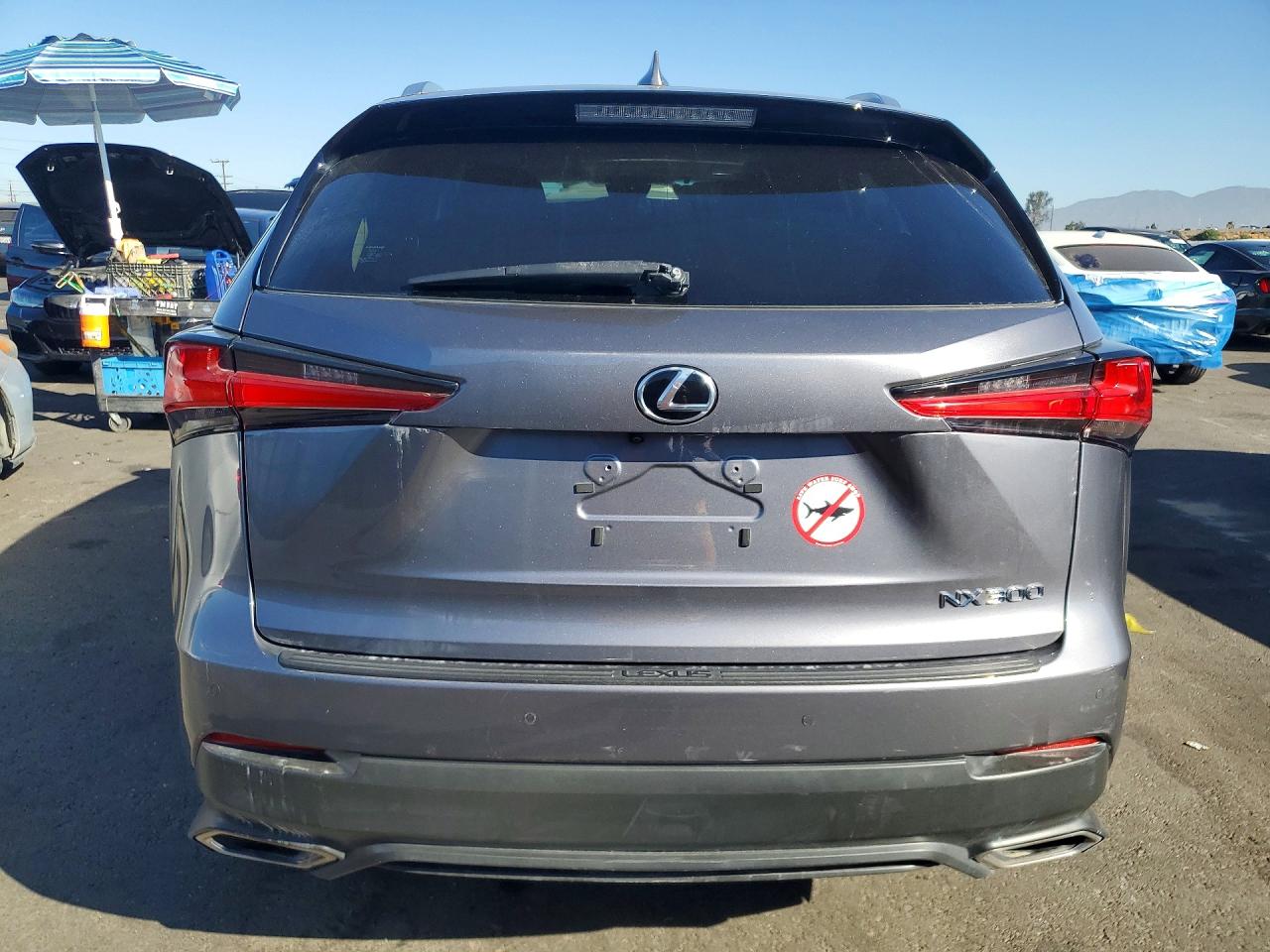 2019 LEXUS NX 300 300 Luxury