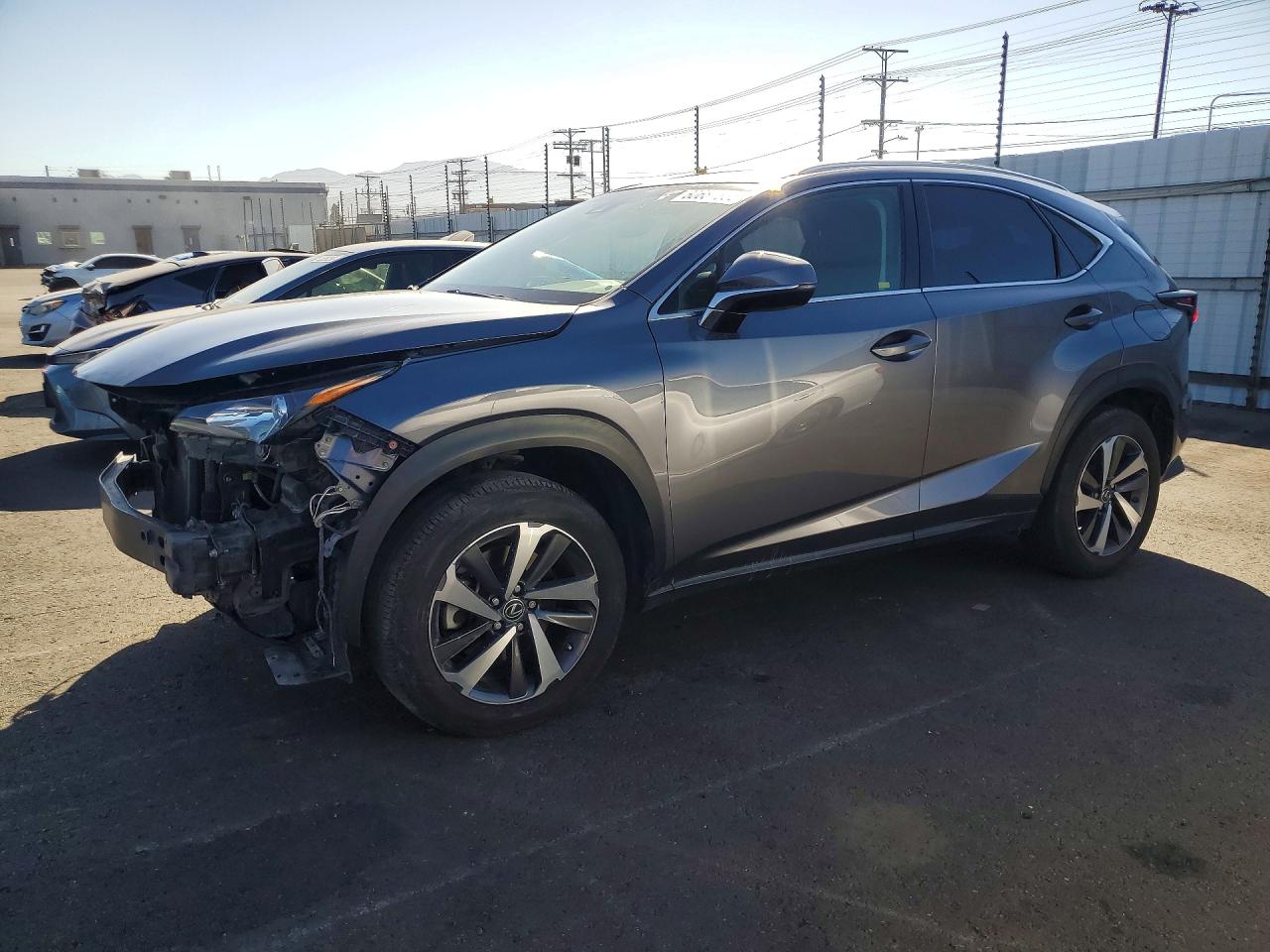 2019 LEXUS NX 300 300 Luxury