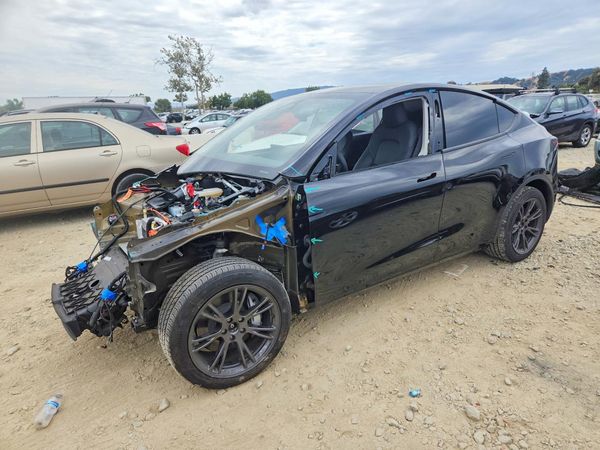 2025 TESLA MODEL Y