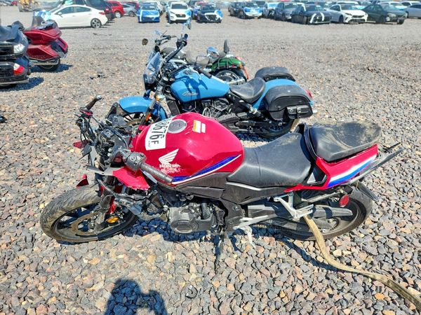 2025 HONDA CBR CYCLE