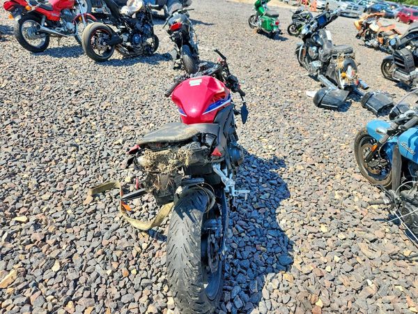 2025 HONDA CBR CYCLE