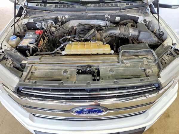 2019 FORD F150