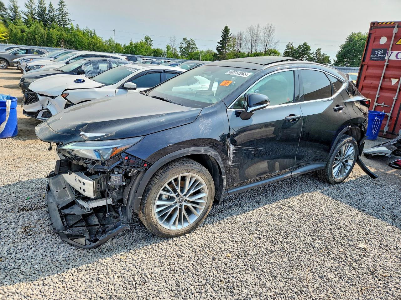 2025 LEXUS NX 350 Premium