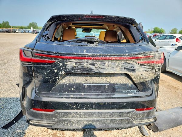 2025 LEXUS NX 350 Premium