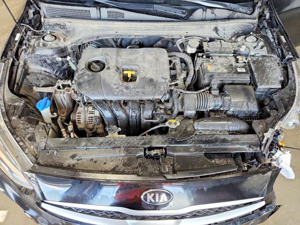 2019 KIA FORTE FE/LX/LXS