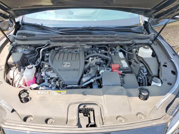 2023 LEXUS RX 350