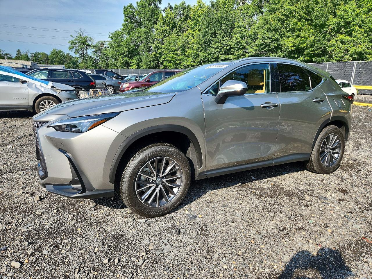 2026 LEXUS NX 350 Premium