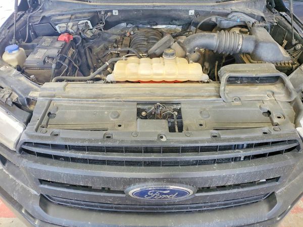 2019 FORD F150