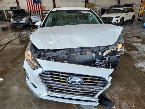 2019 HYUNDAI SONATA Eco Turbo, SE