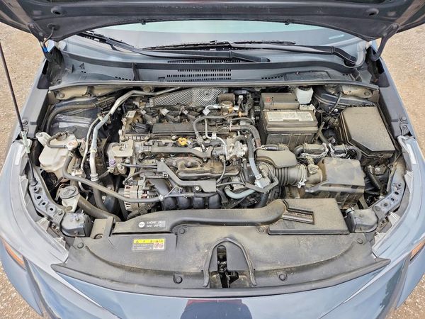 2023 TOYOTA COROLLA