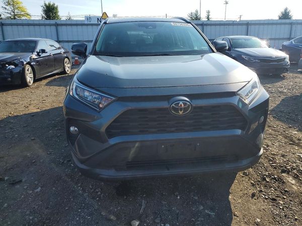 2019 TOYOTA RAV4 XLE / XLE Premium 4WD