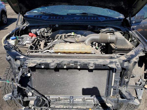 2019 FORD F150