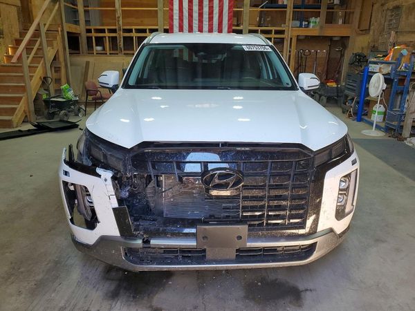 2025 HYUNDAI PALISADE