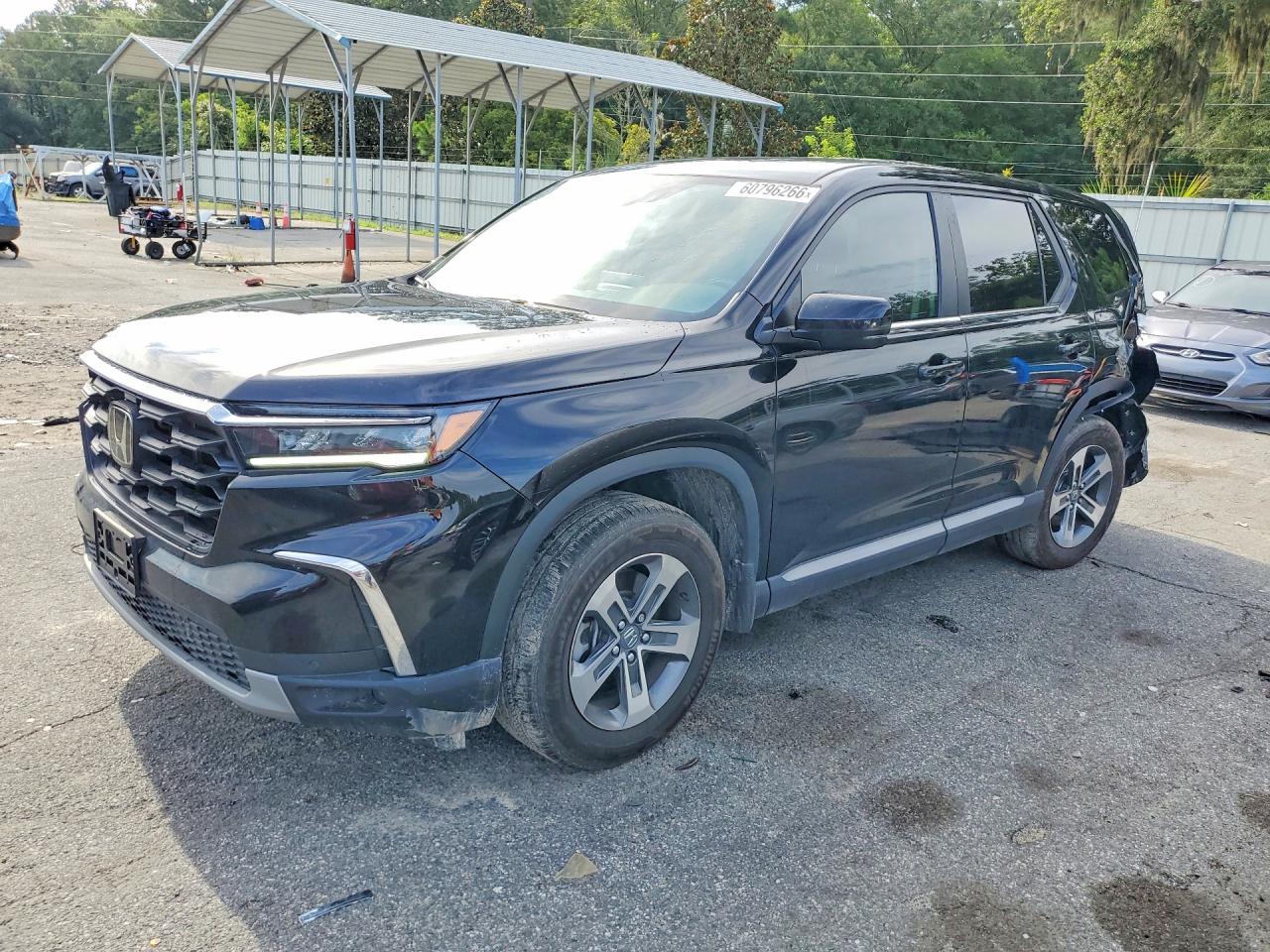 2025 HONDA PILOT EX-L, EX-L HPD