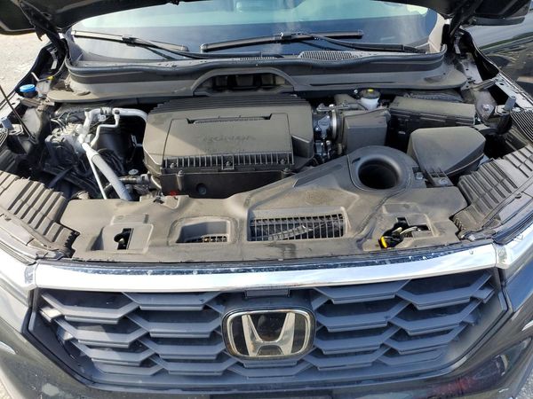 2025 HONDA PILOT EX-L, EX-L HPD