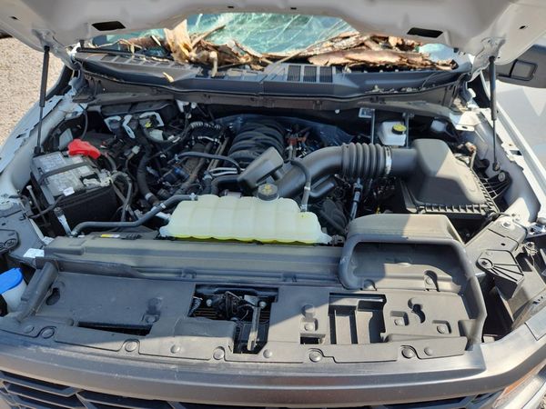 2025 FORD F150 XL