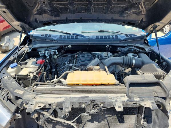 2019 FORD F150
